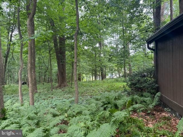 2749 Greene Lane photo 11