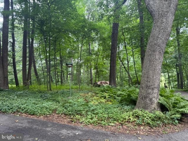 2749 Greene Lane photo 13
