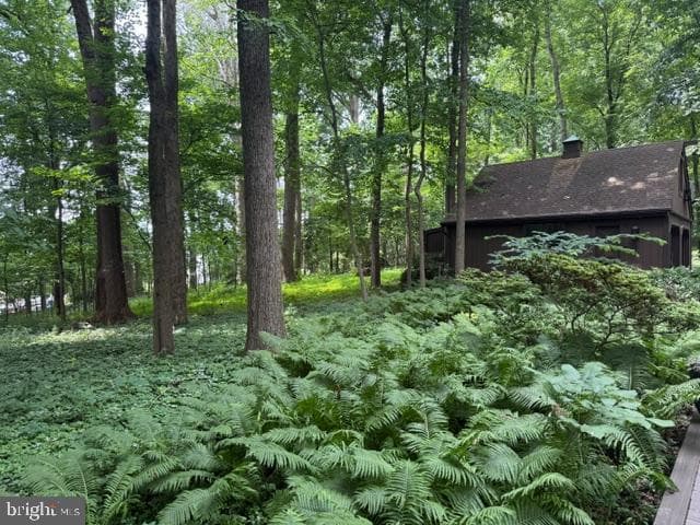 2749 Greene Lane photo 8