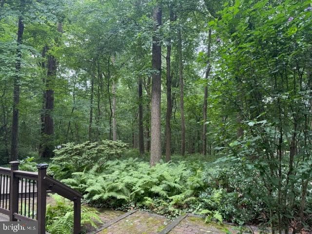 2749 Greene Lane photo 9