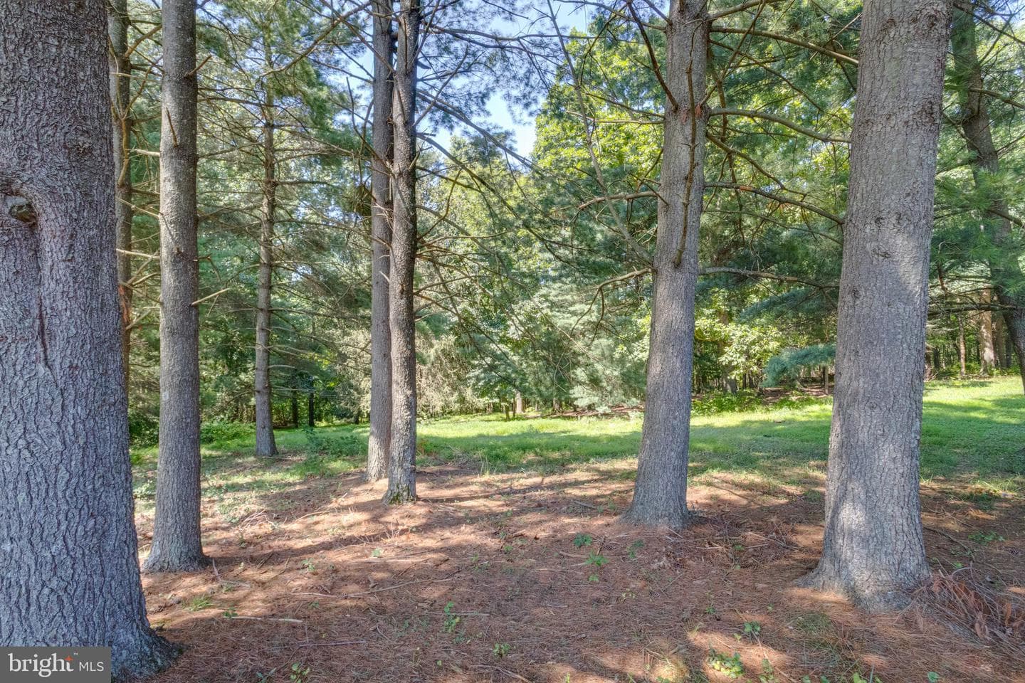 1401 Prospect Mill Road photo 96