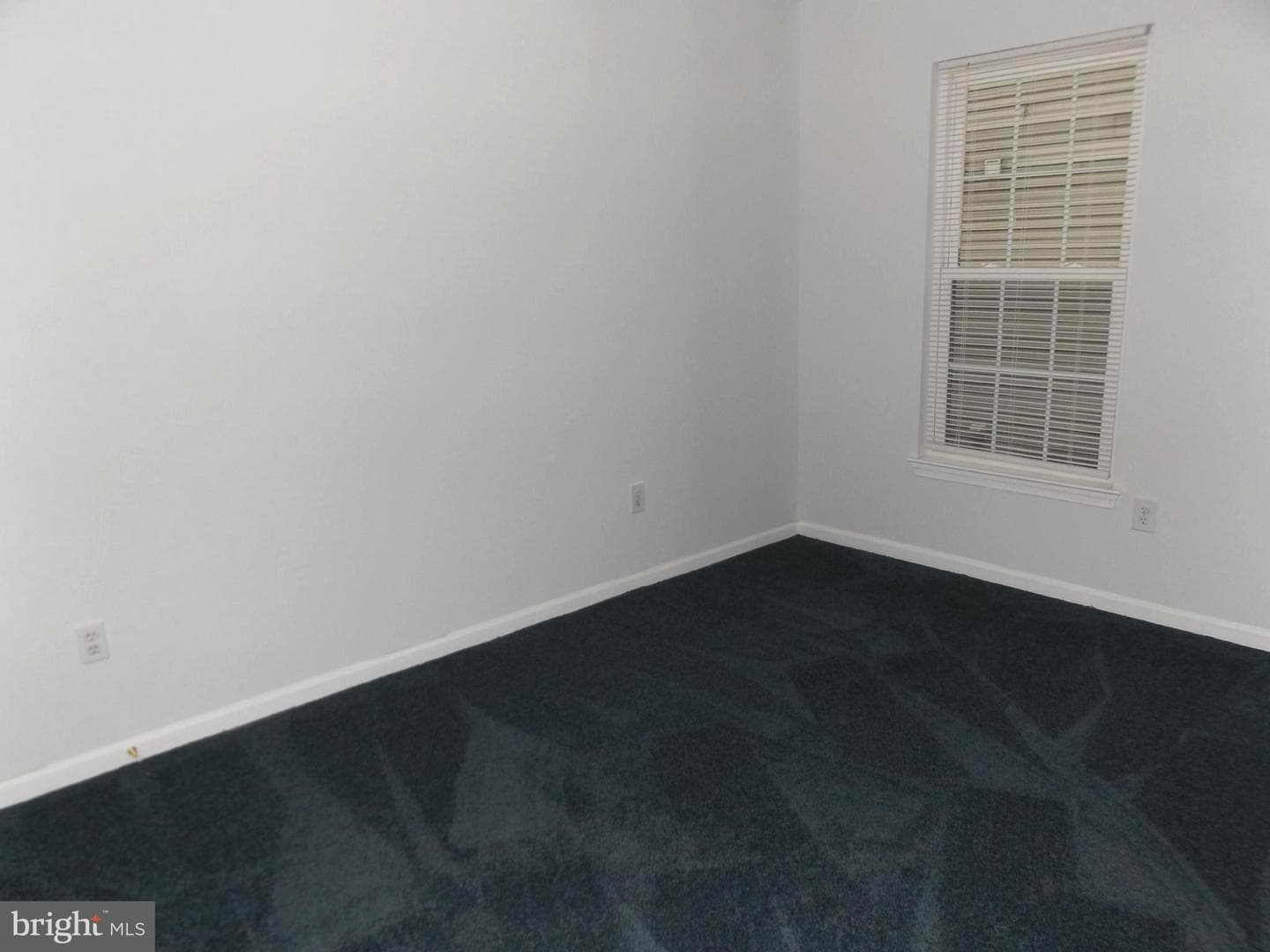 6300 Bayberry Court #1110 photo 11