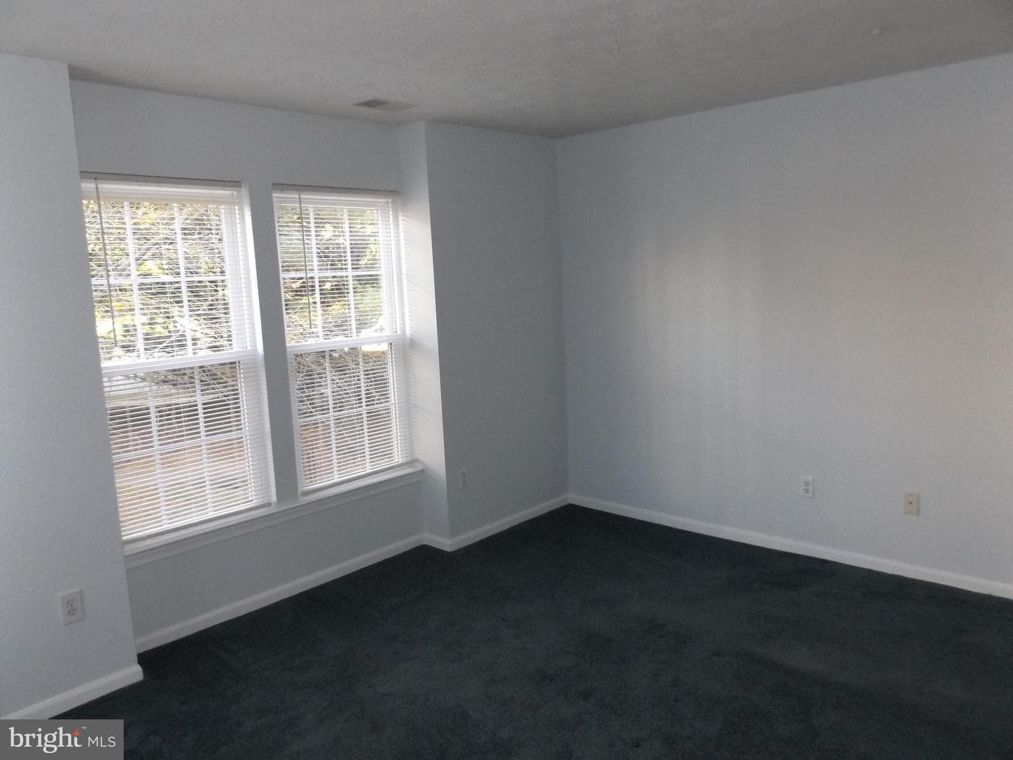 6300 Bayberry Court #1110 photo 8