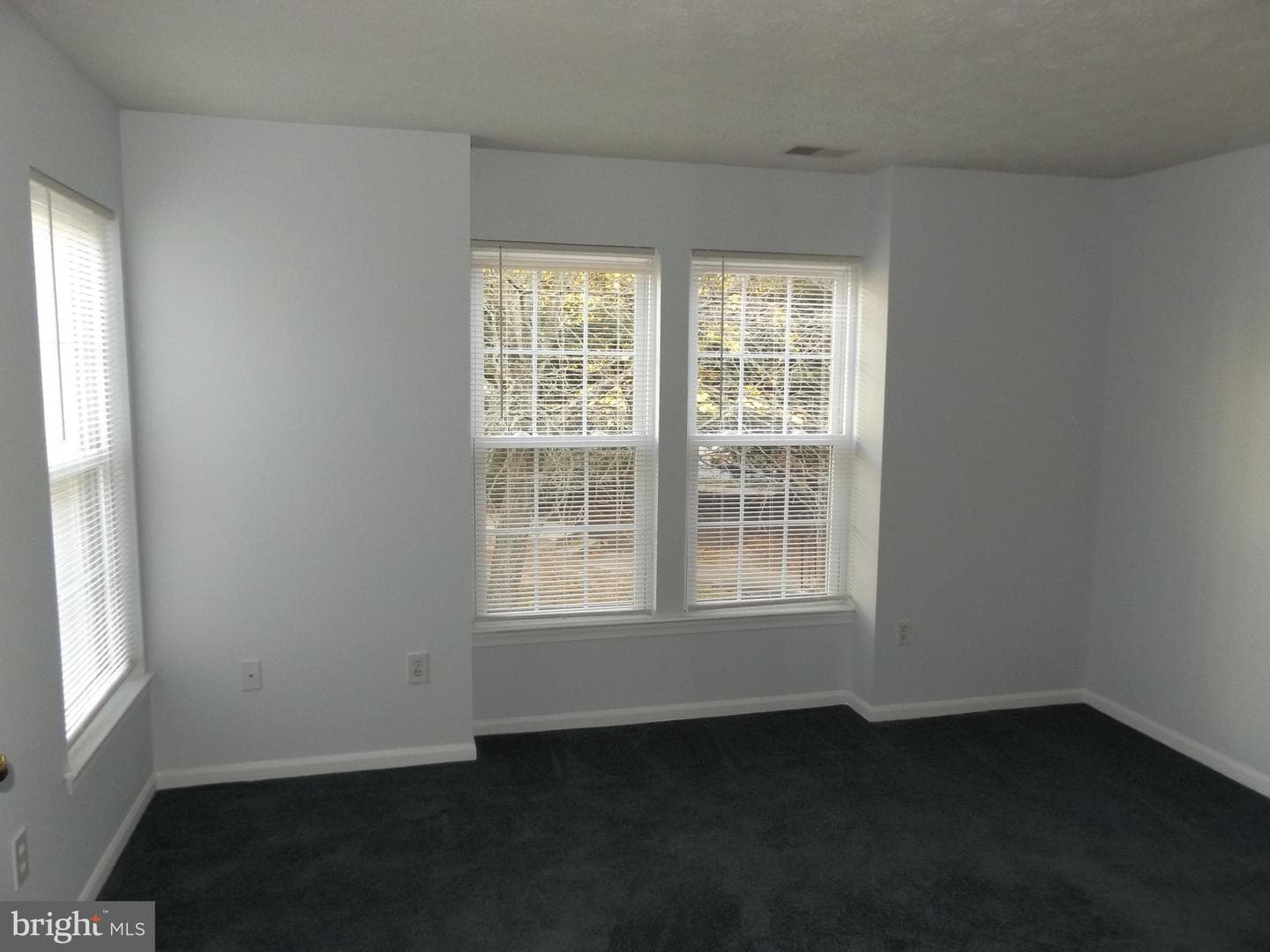 6300 Bayberry Court #1110 photo 9