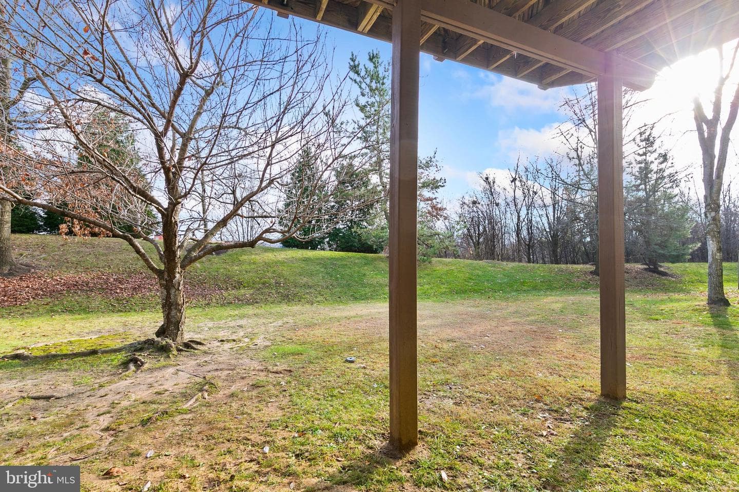 5947 Meadow Rose photo 46
