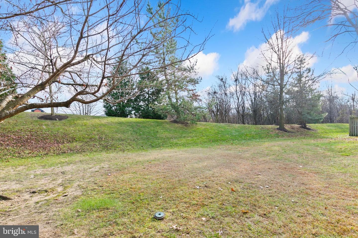 5947 Meadow Rose photo 47