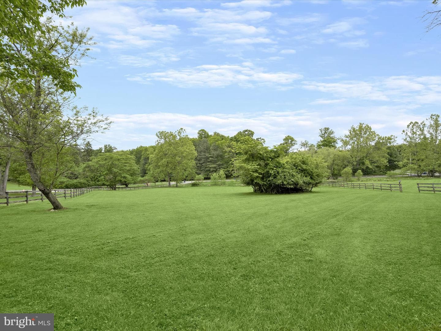14712 Betula Way photo 68