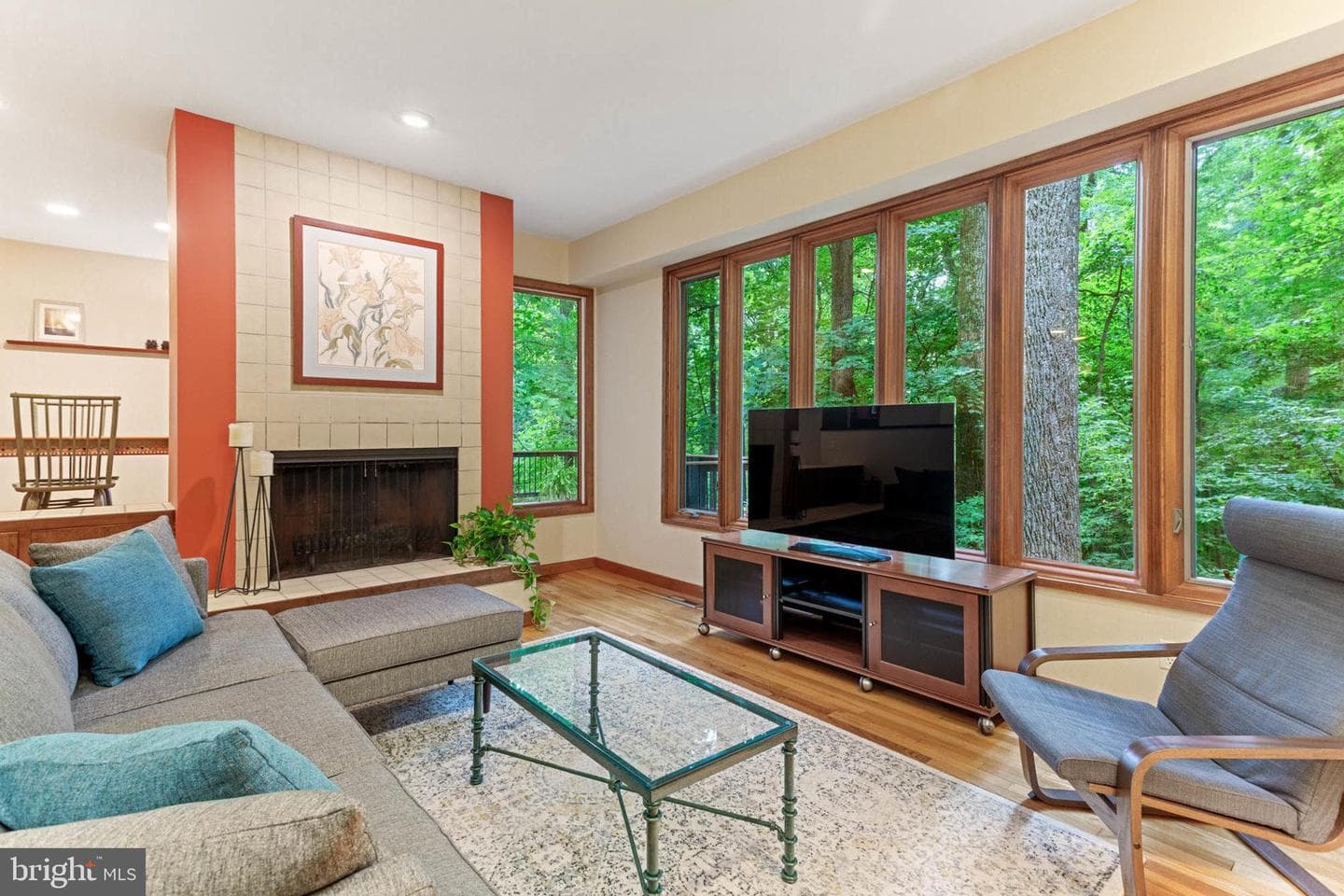 10386 Green Mountain Circle photo 14
