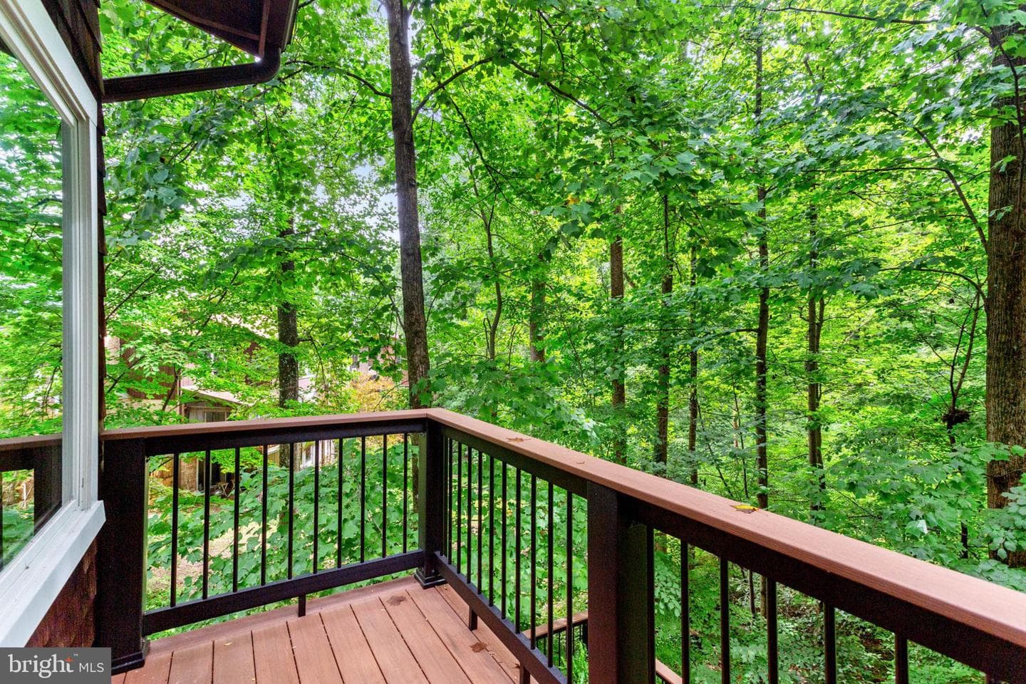 10386 Green Mountain Circle photo 26