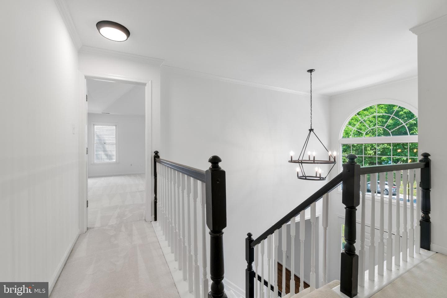 10224 New Forest Court photo 24