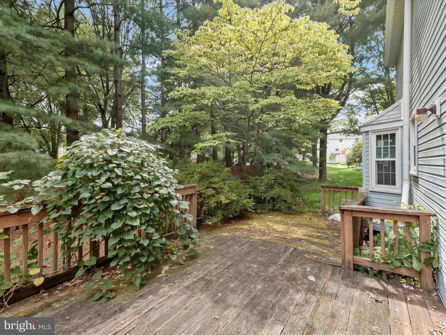 7105 Black Rock Court photo 34