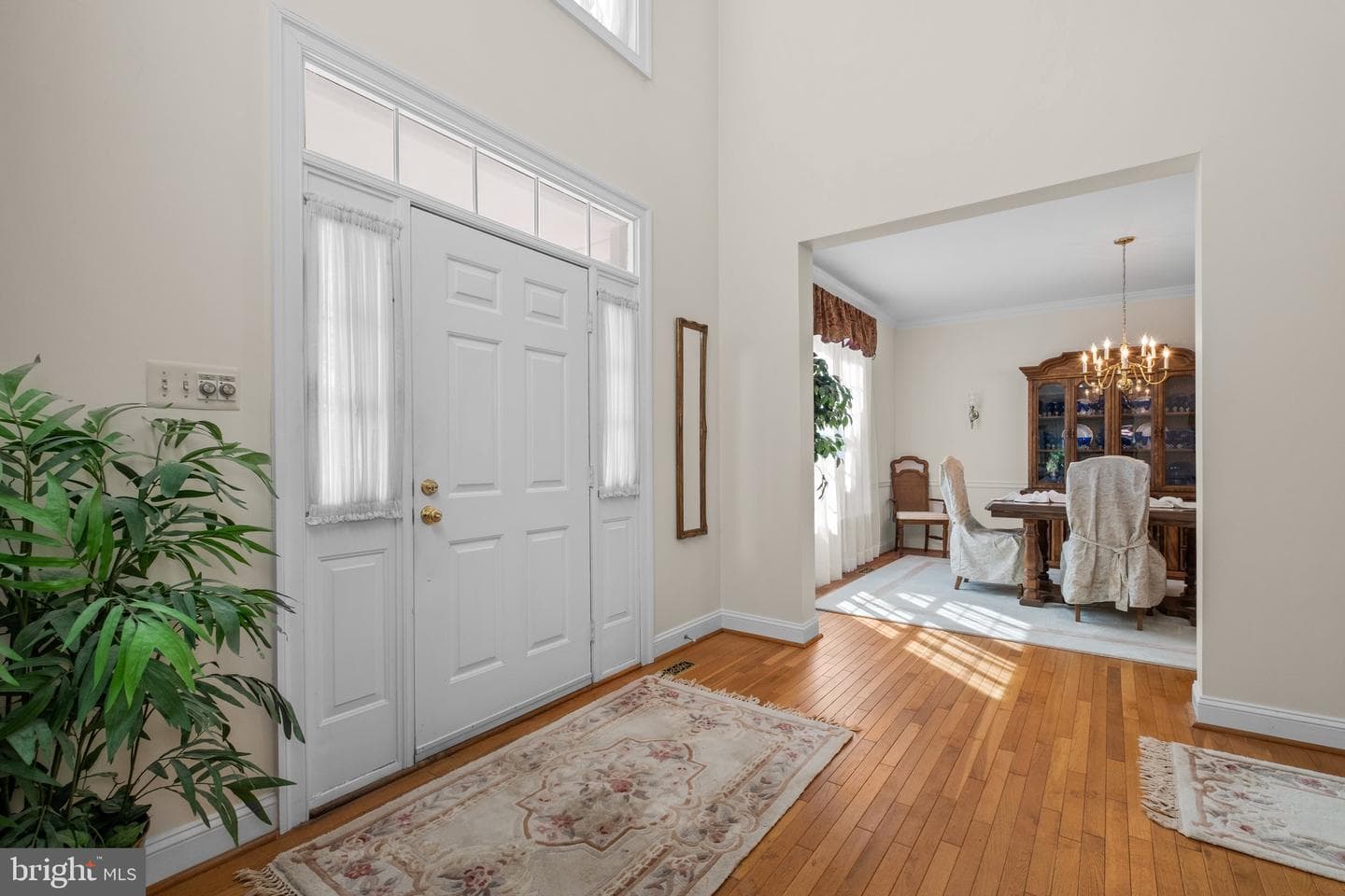 10310 Pimlico Place photo 4