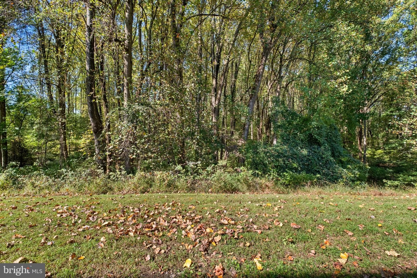 10310 Pimlico Place photo 60