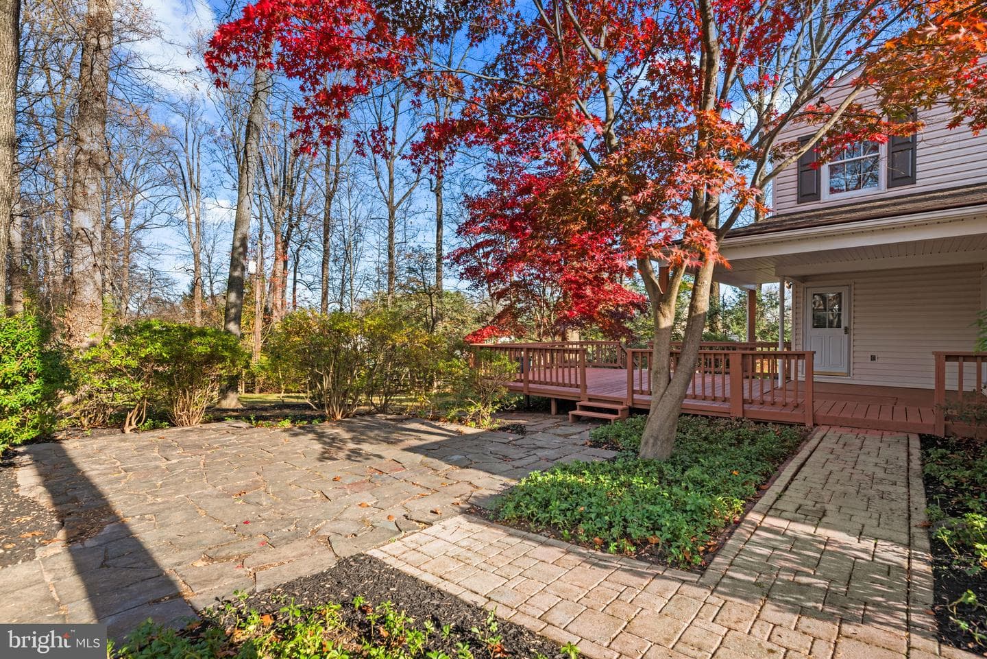 9824 Cypressmede Drive photo 33