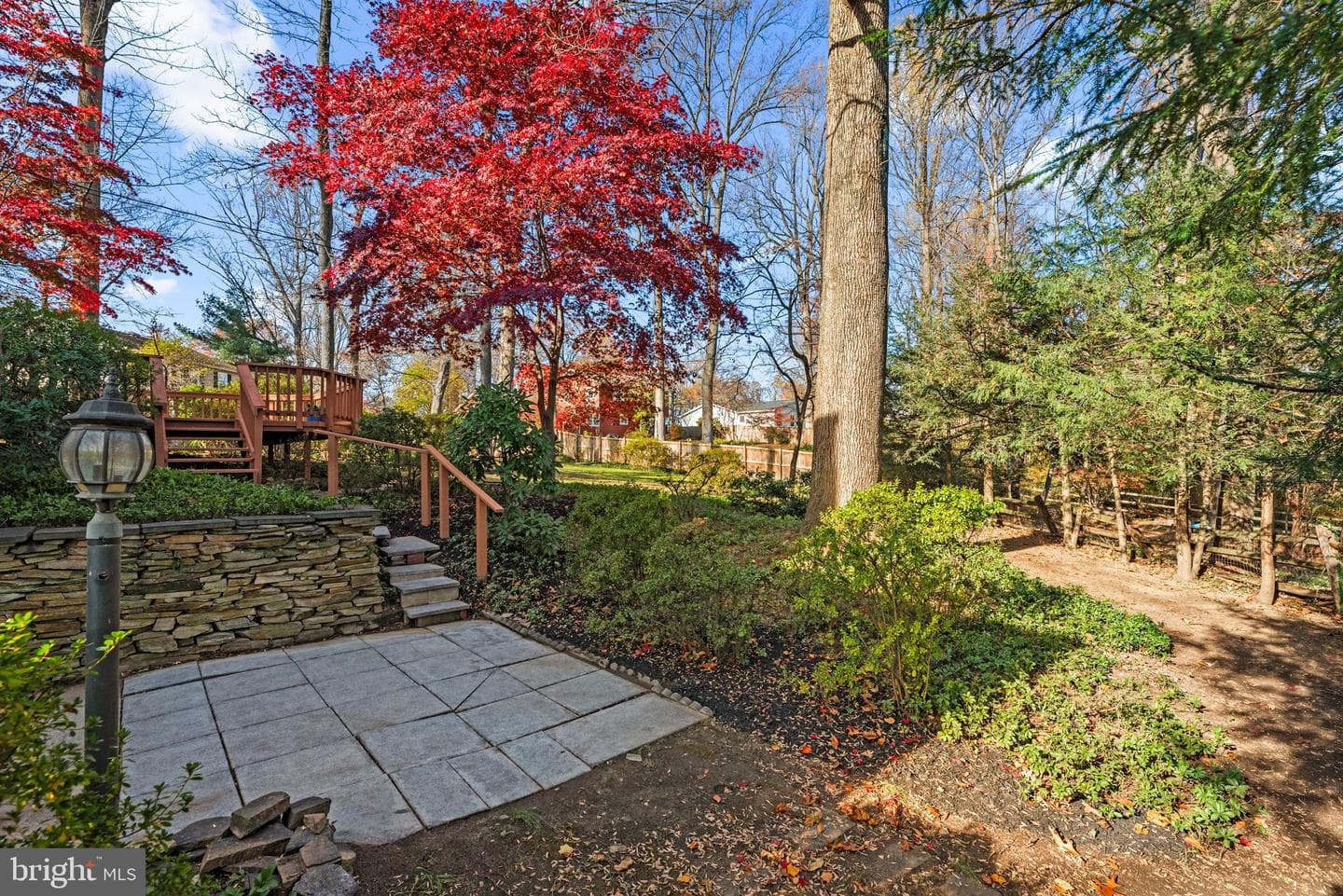 9824 Cypressmede Drive photo 34