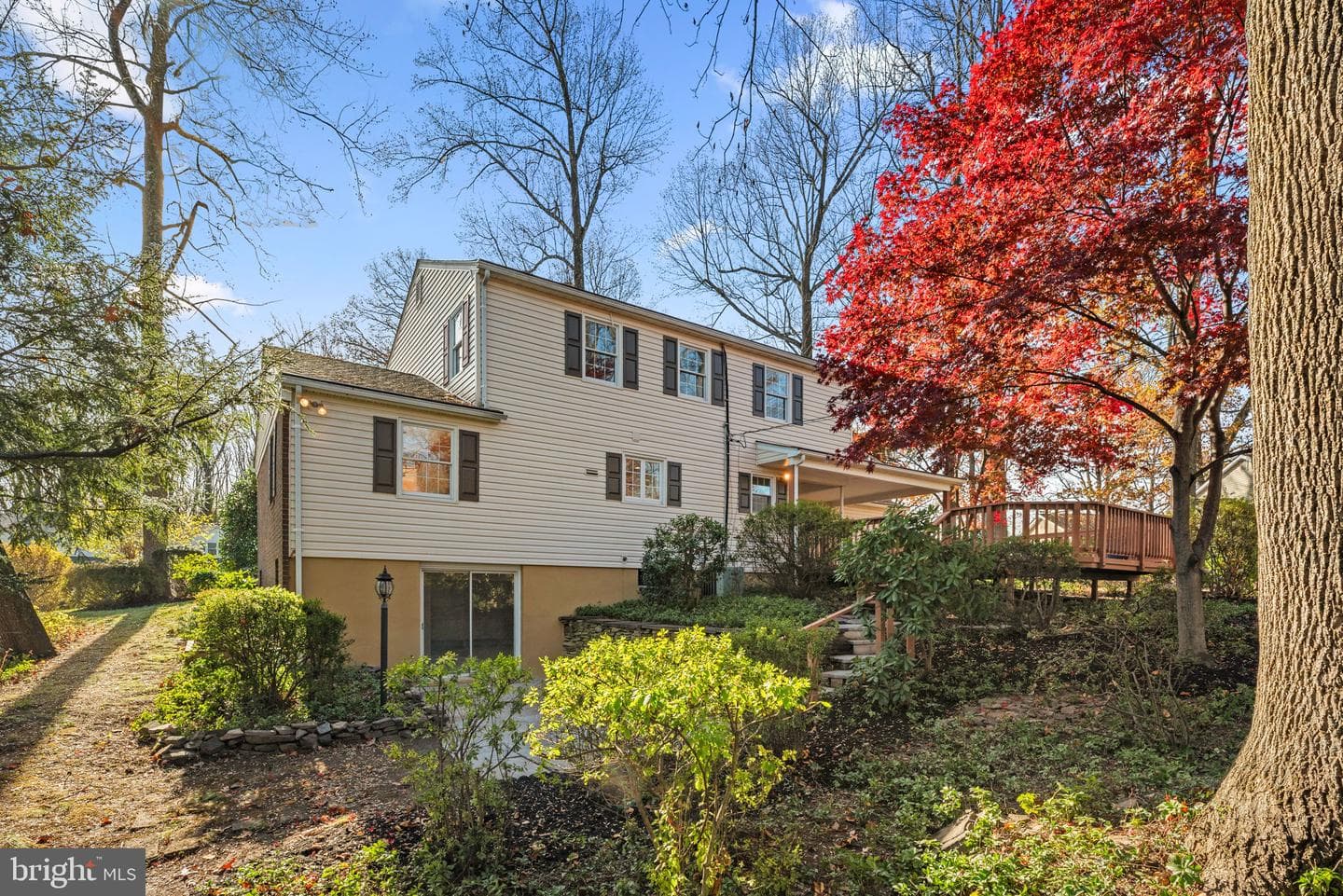 9824 Cypressmede Drive photo 35