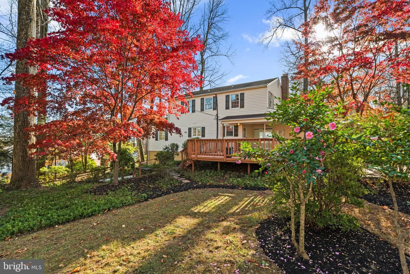 9824 Cypressmede Drive photo 36