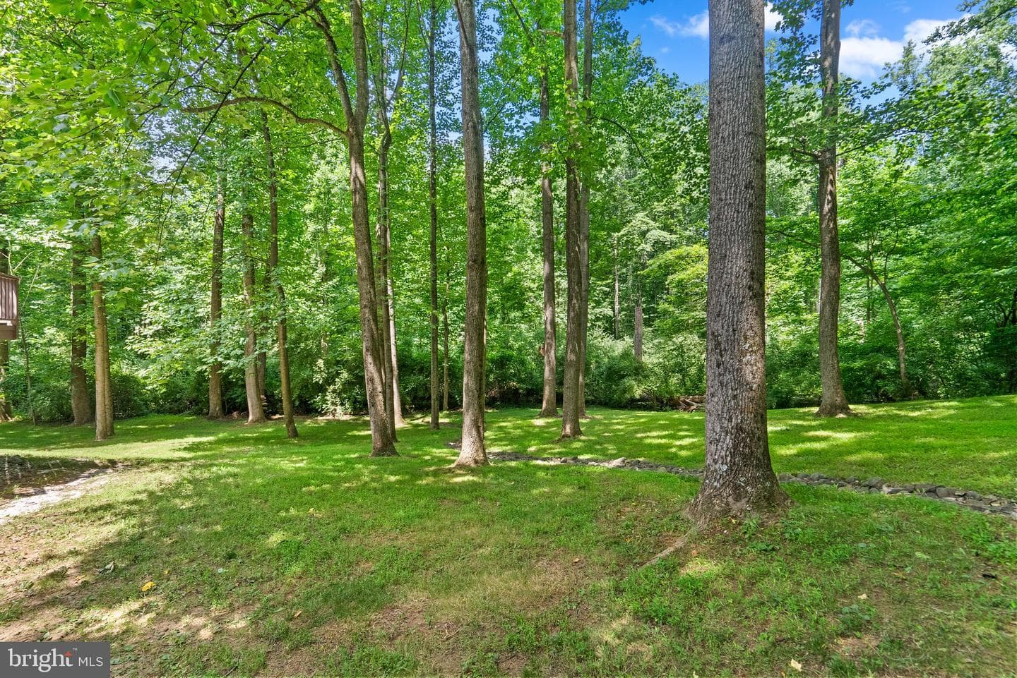 6046 Red Clover Lane photo 53
