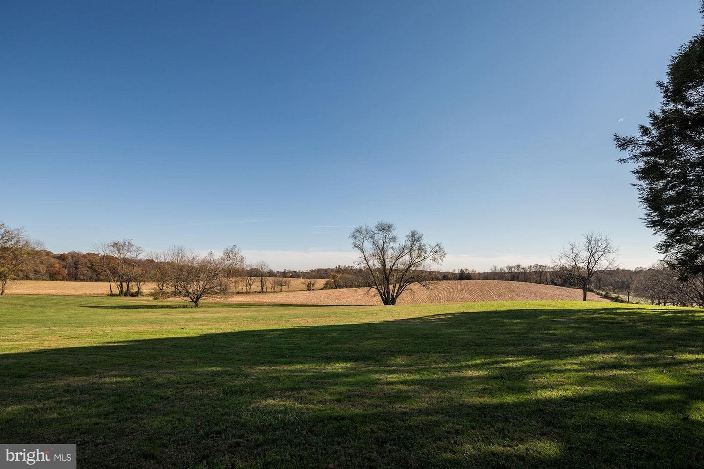 16449 Ed Warfield Road photo 78