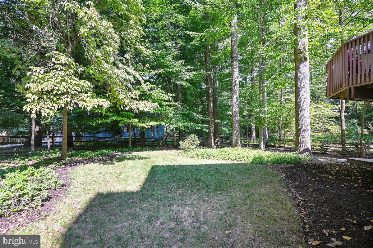 4525 Hemlock Cone Way photo 59
