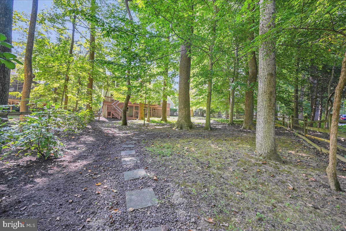 4525 Hemlock Cone Way photo 60