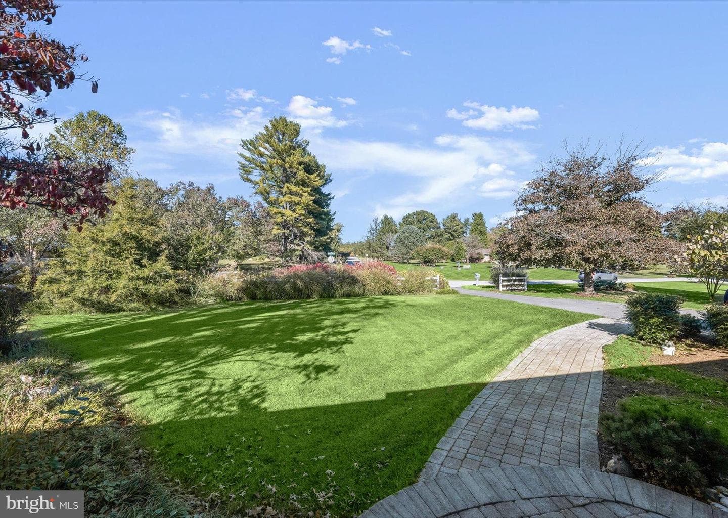 11801 Wayneridge Street photo 6