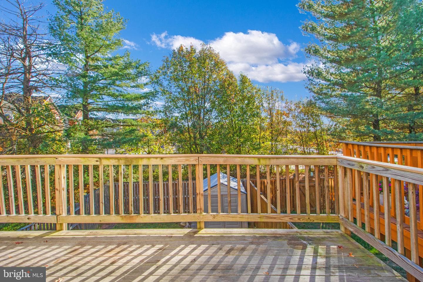 7208 Procopio Circle photo 14