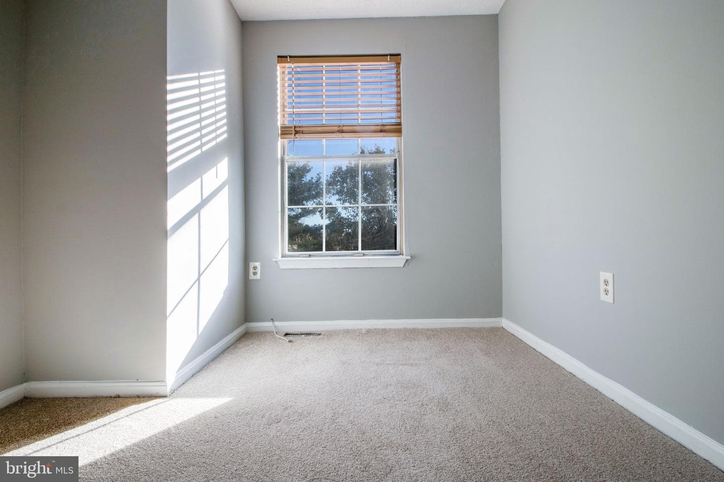 7208 Procopio Circle photo 26