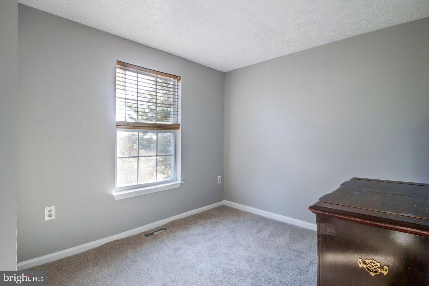 7208 Procopio Circle photo 32