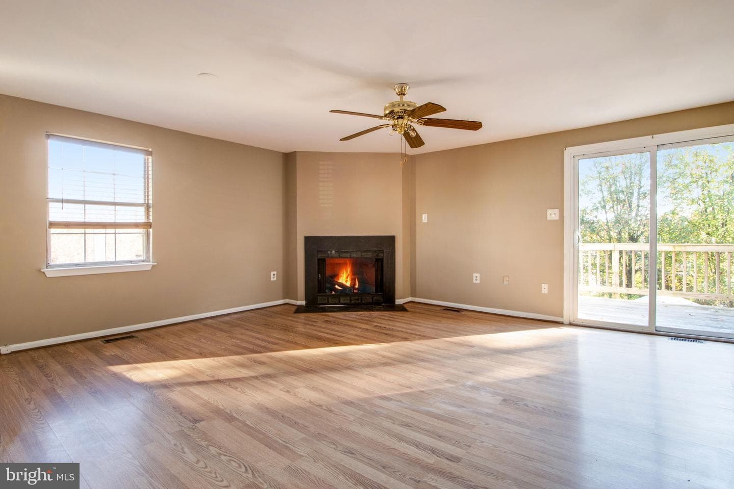 7208 Procopio Circle photo 6