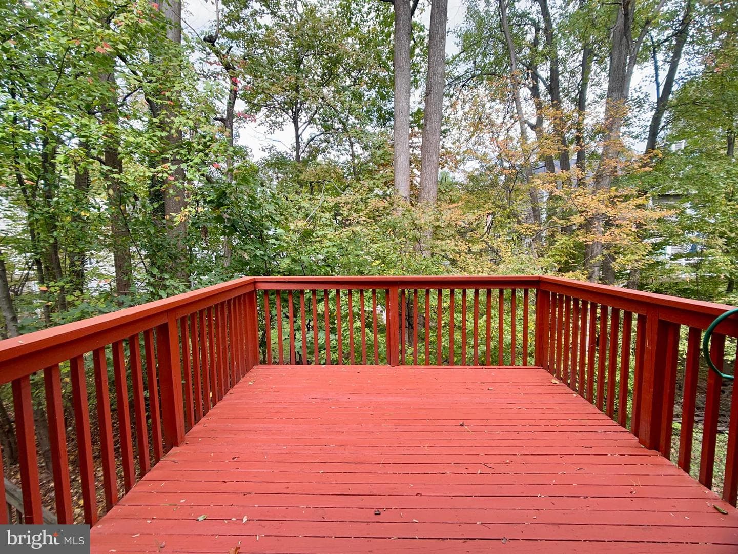 5952 Cedar Fern Court photo 30