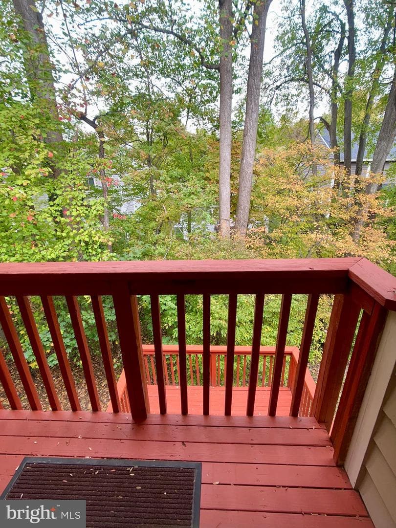 5952 Cedar Fern Court photo 32