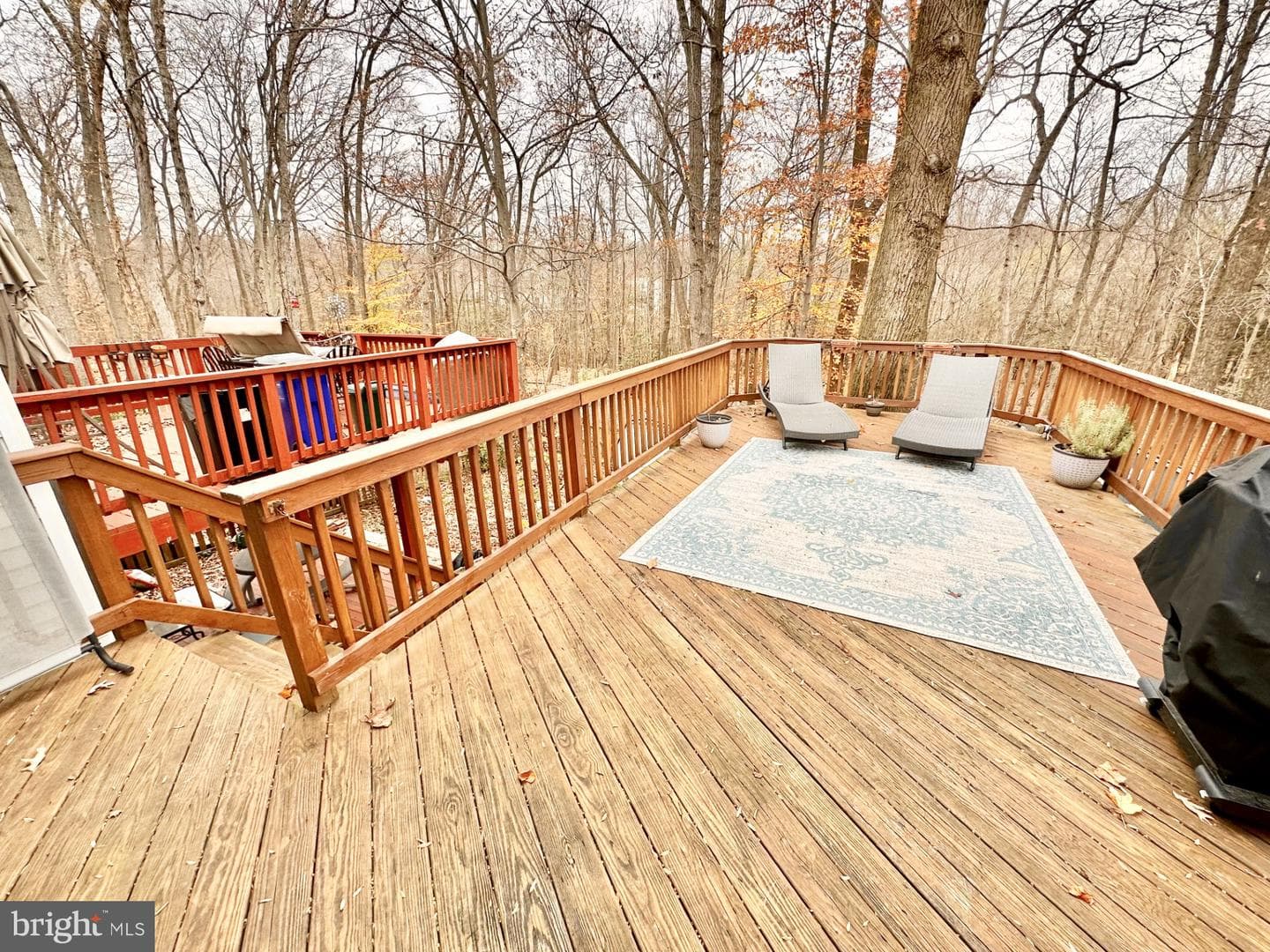 8034 Green Tree Court photo 21