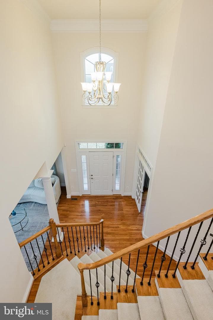 14862 Michele Drive photo 16