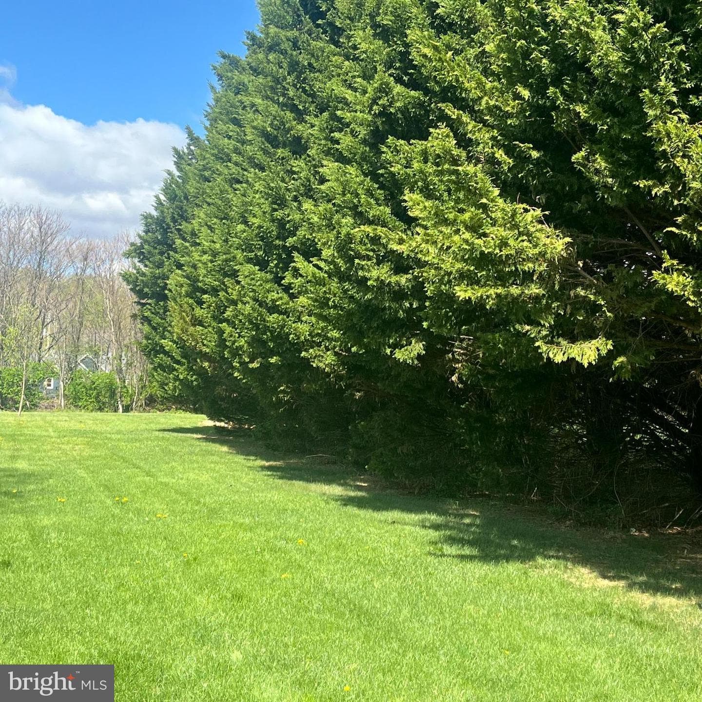 3216 Hayloft Court photo 5