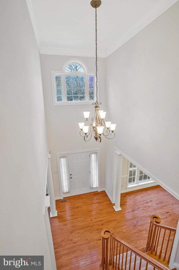 10502 Hickory Glen Drive photo 12