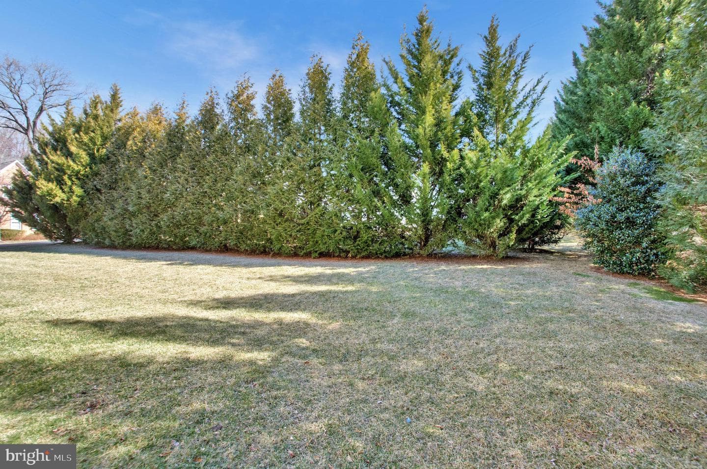 10502 Hickory Glen Drive photo 53