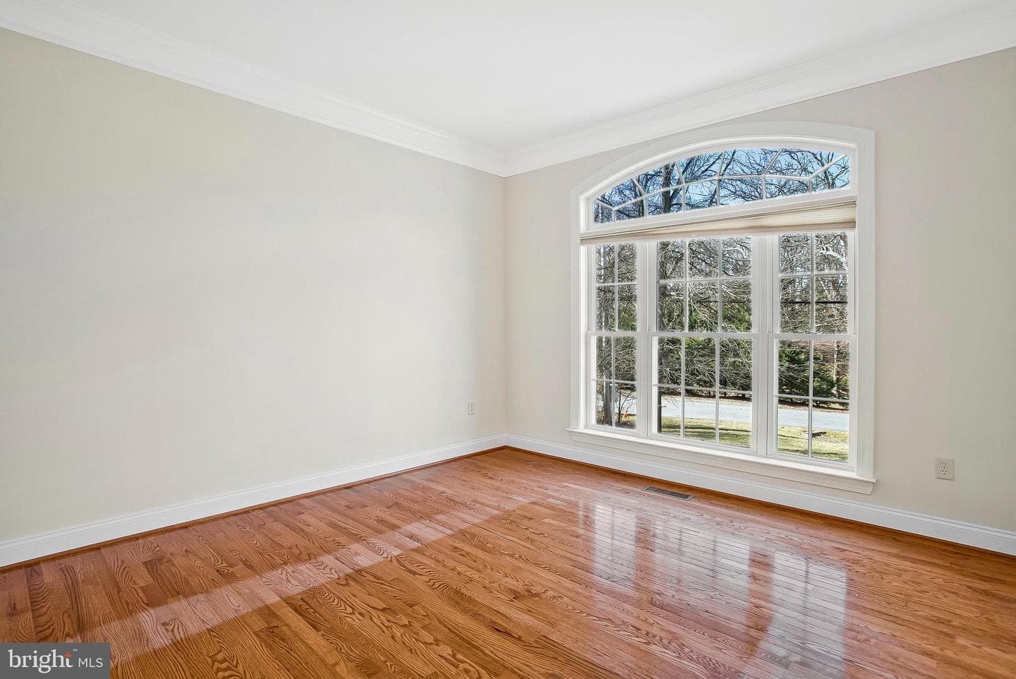 10502 Hickory Glen Drive photo 58
