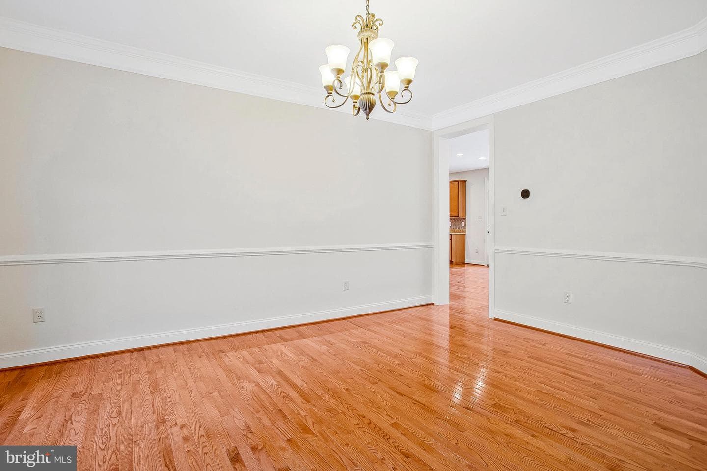 10502 Hickory Glen Drive photo 61