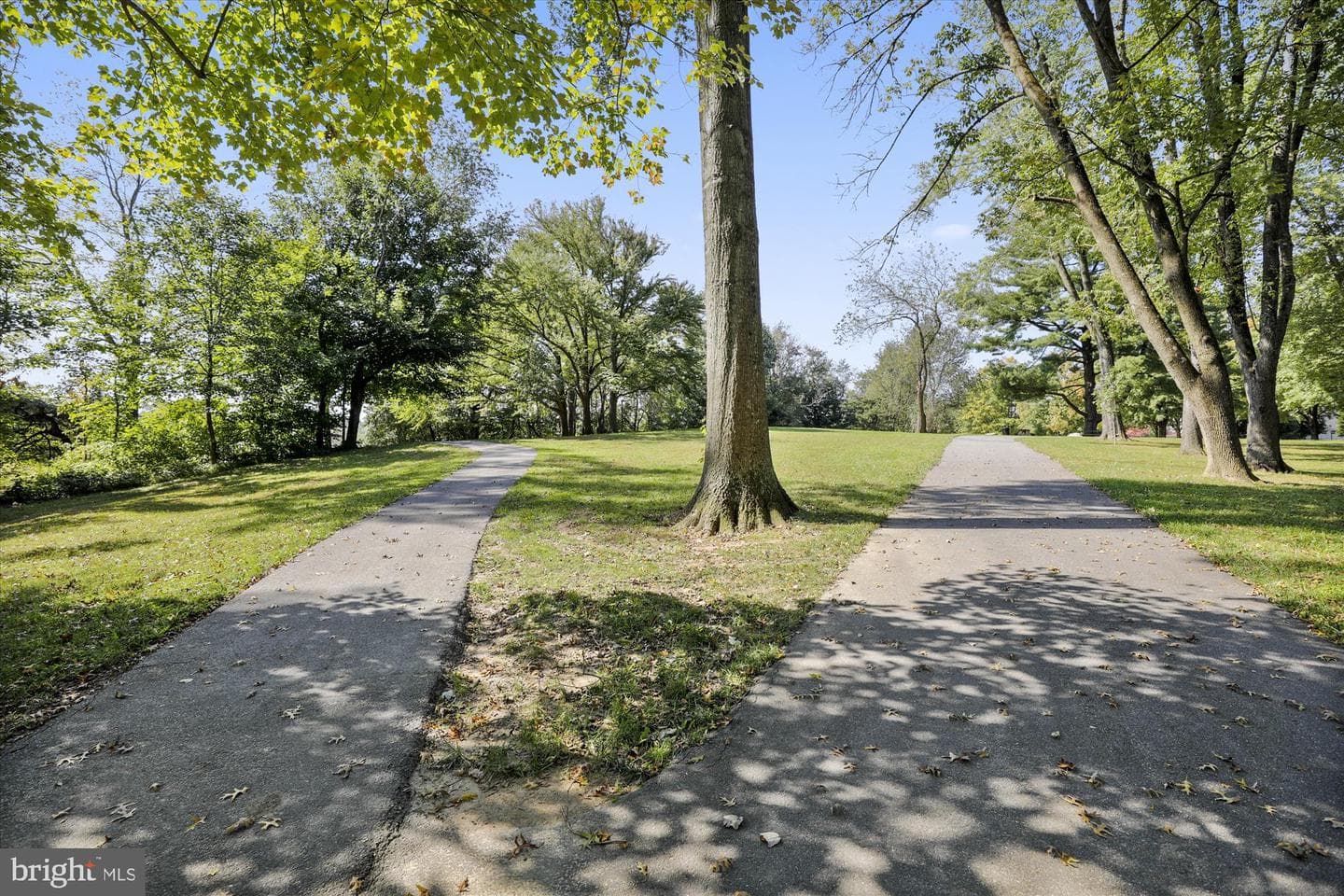 10259 Wilde Lake Terrace photo 53