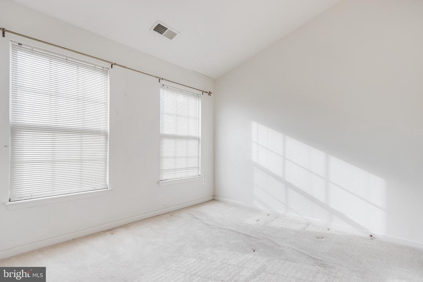 9923 Fragrant Lilies Way photo 42