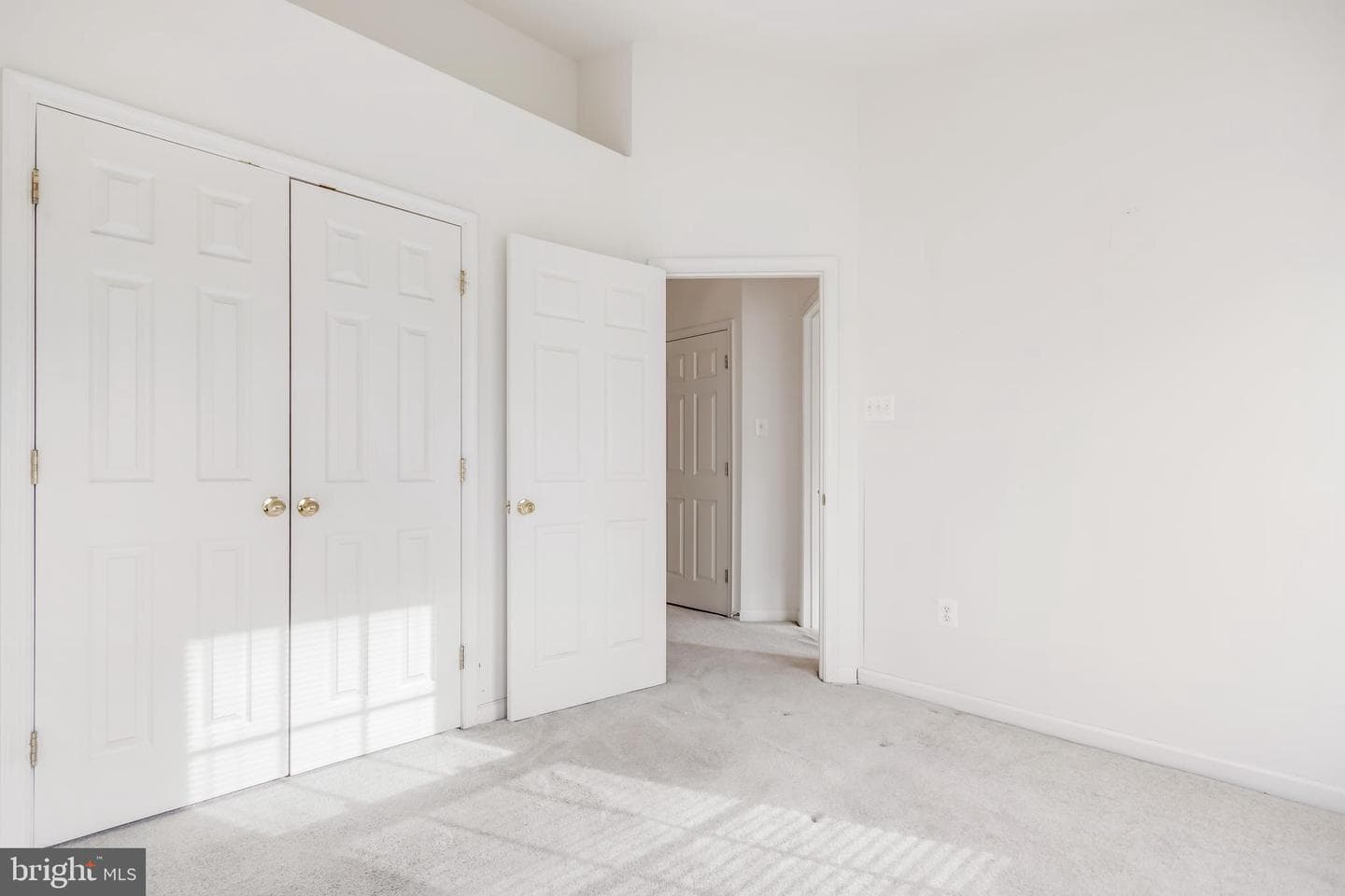 9923 Fragrant Lilies Way photo 43