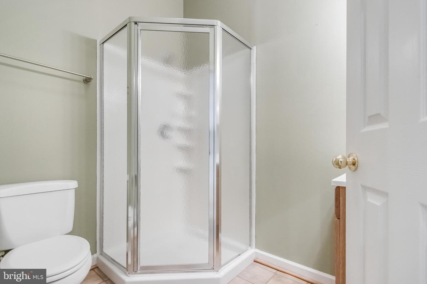 9923 Fragrant Lilies Way photo 47