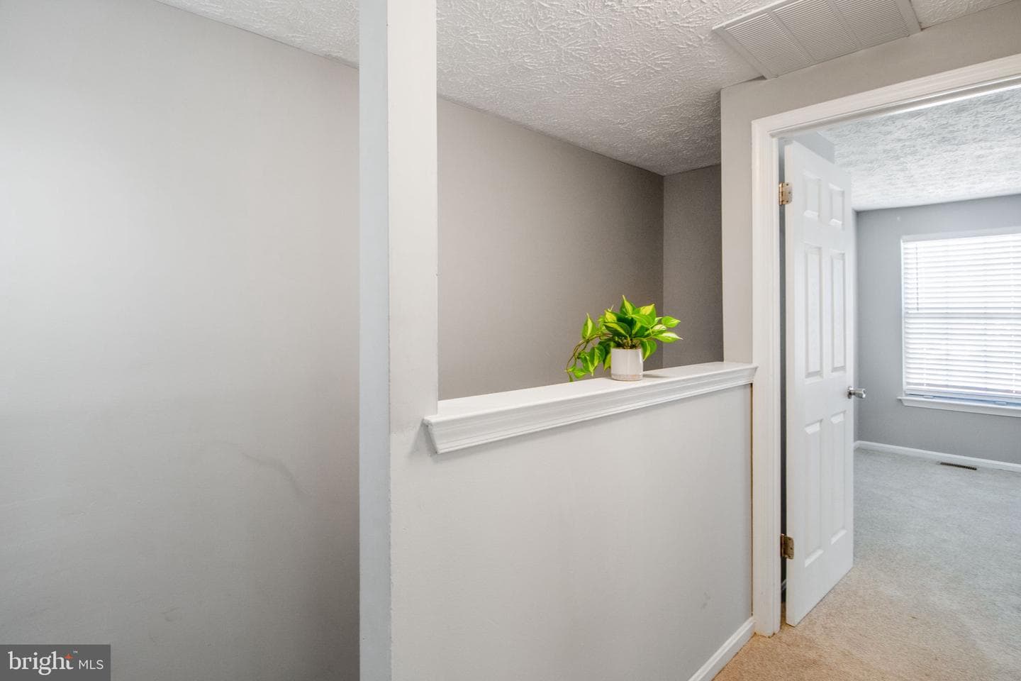 7208 Procopio Circle photo 15