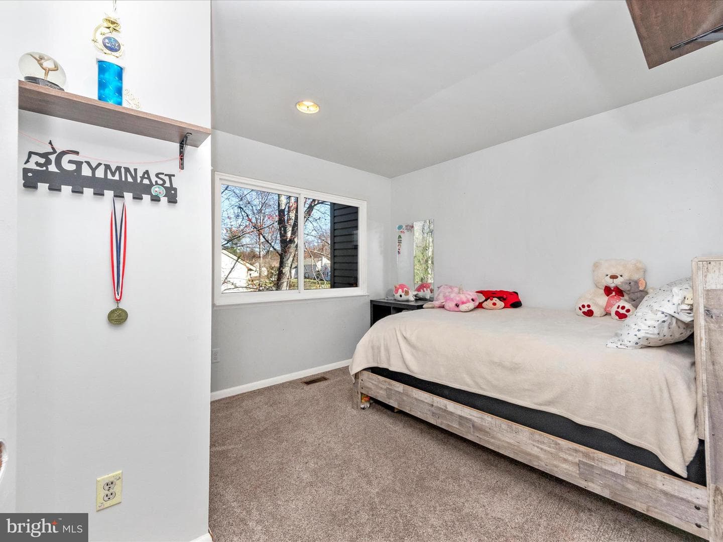 6264 Audubon Drive photo 68