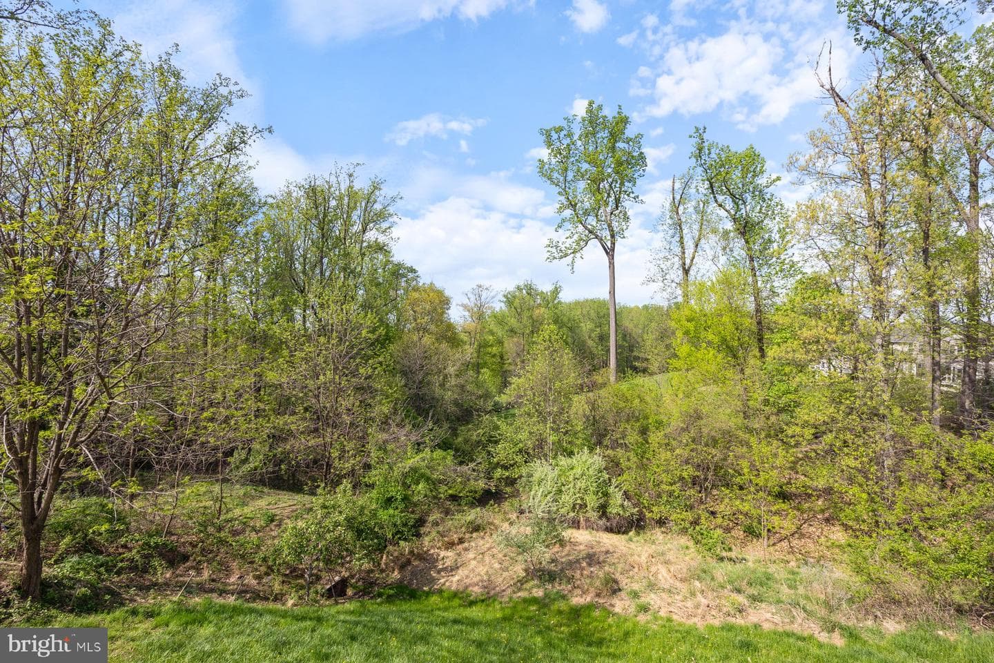 4514 Nightingale Court photo 38