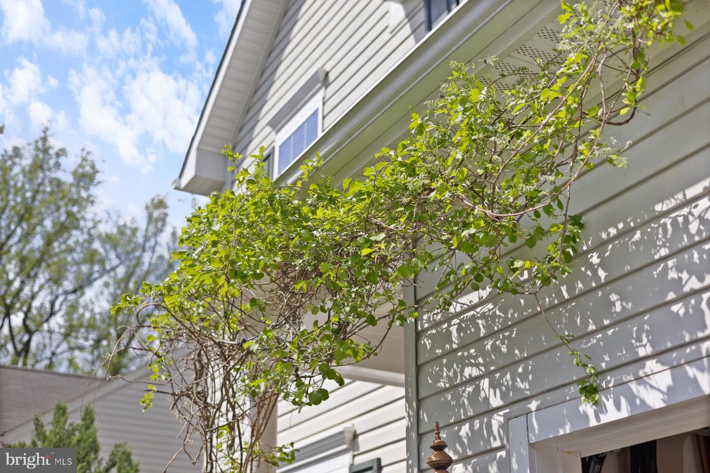 4514 Nightingale Court photo 4
