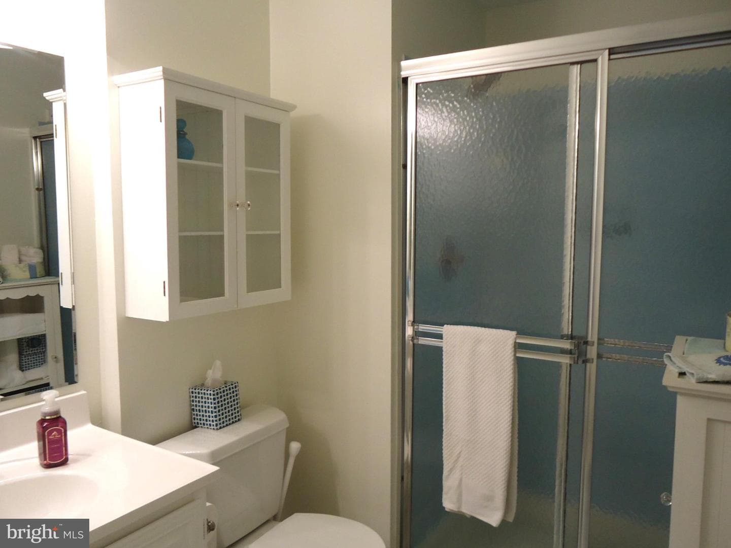 6413 Sewells Orchard Drive photo 53