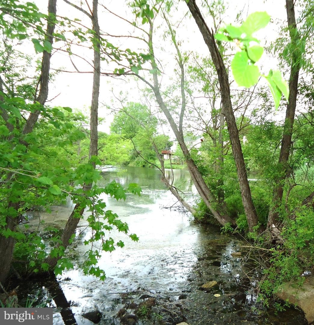 6413 Sewells Orchard Drive photo 71