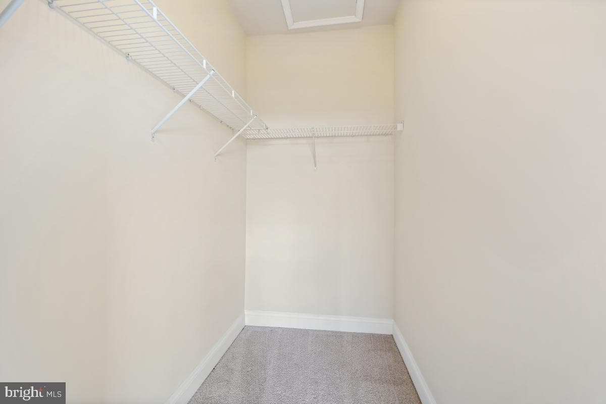 5919-2 Logans Way #2 photo 18
